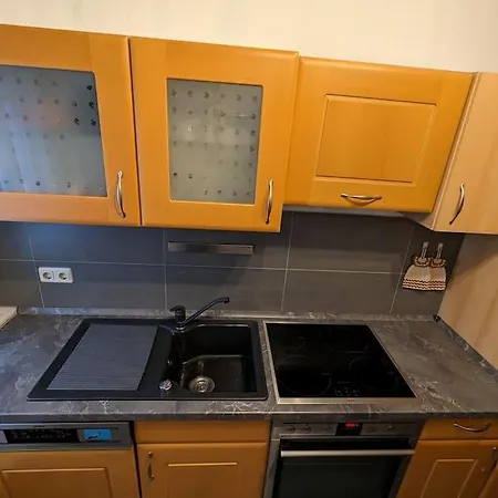 Elbaue Apartment *